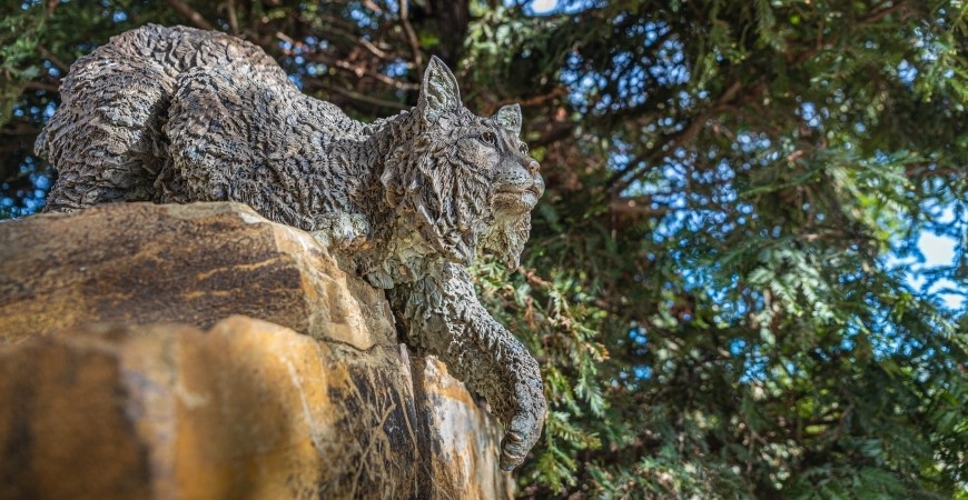 photo of bobcat sculpture